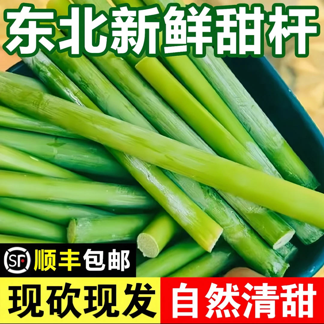 东北特产青皮甜杆新鲜应季孕妇水果甘蔗甜杆小甘蔗芦粟包邮