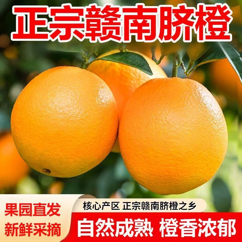 赣南多汁脐橙当季新鲜孕妇小孩水果皮薄10斤十斤江西赣州送礼橙子