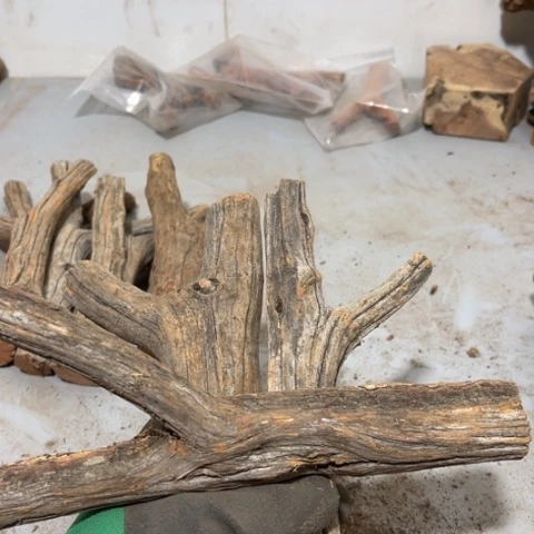 大果紫檀（缅甸花梨）木**景