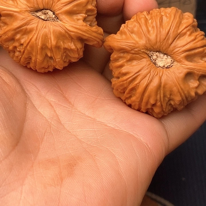 文玩核桃吊坠45白狮子