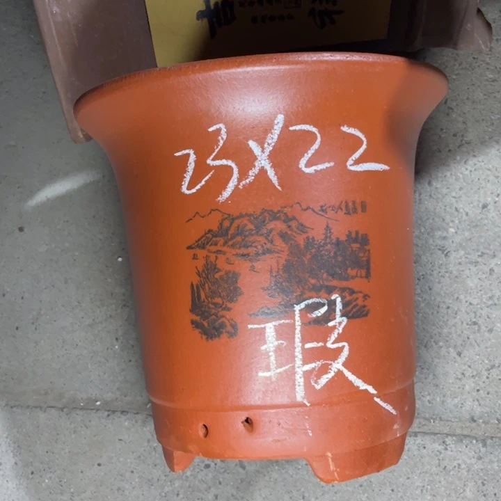 周深周深周深周深