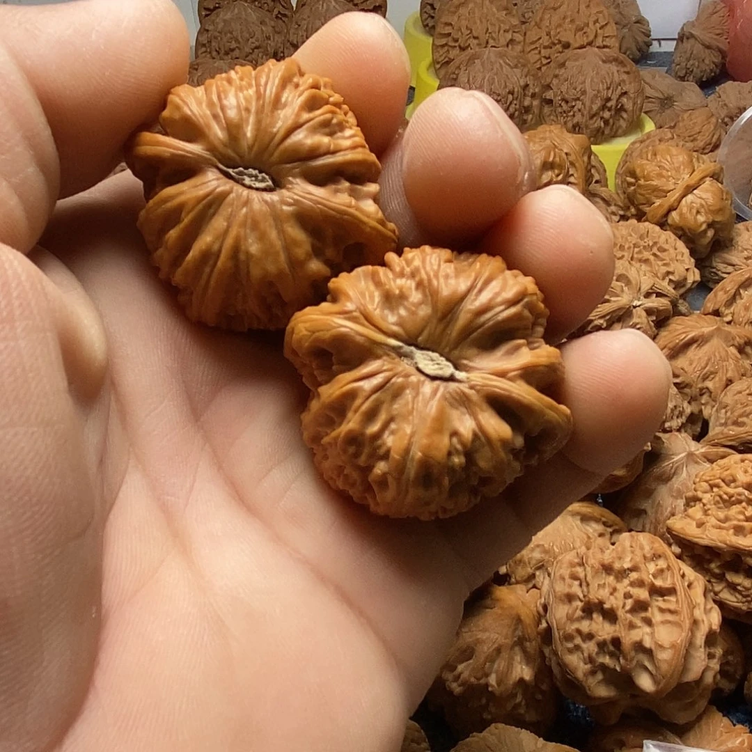 呼***风把件文玩核桃白狮子