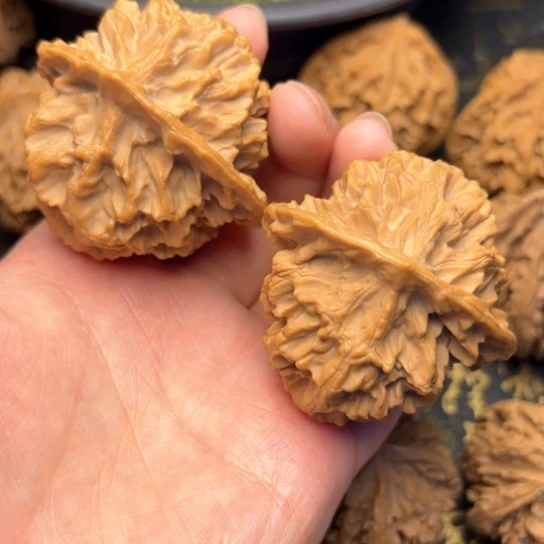 从***容文玩核桃把件秦岭核桃13