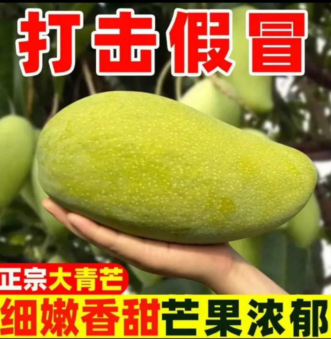 XN青皮大青芒果当季新鲜水果现摘大青芒爆汁脆甜