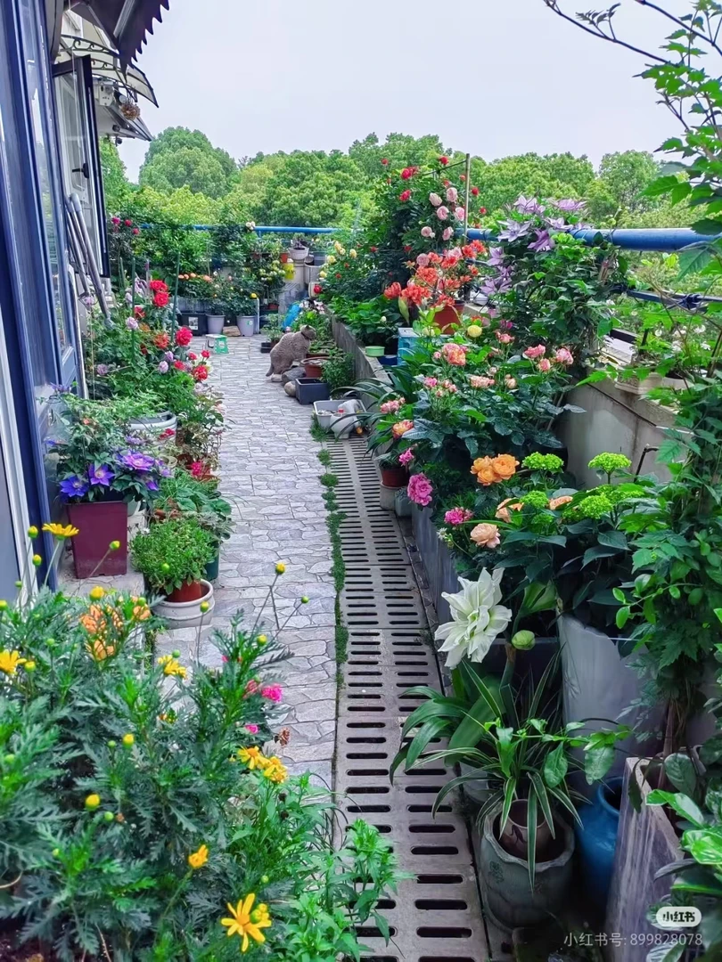 诚屿家随机一箱花花