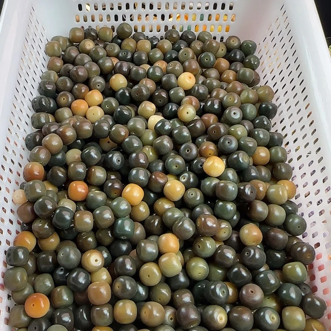 善***己菩提根/象牙果手串卡14敦煌桶848颗