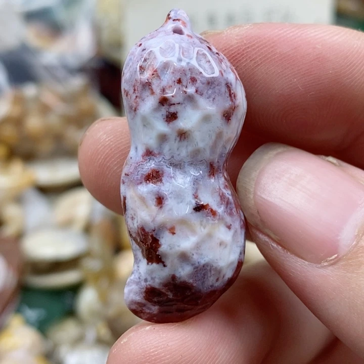 硅化珊瑚（珊瑚玉）未镶嵌颈饰