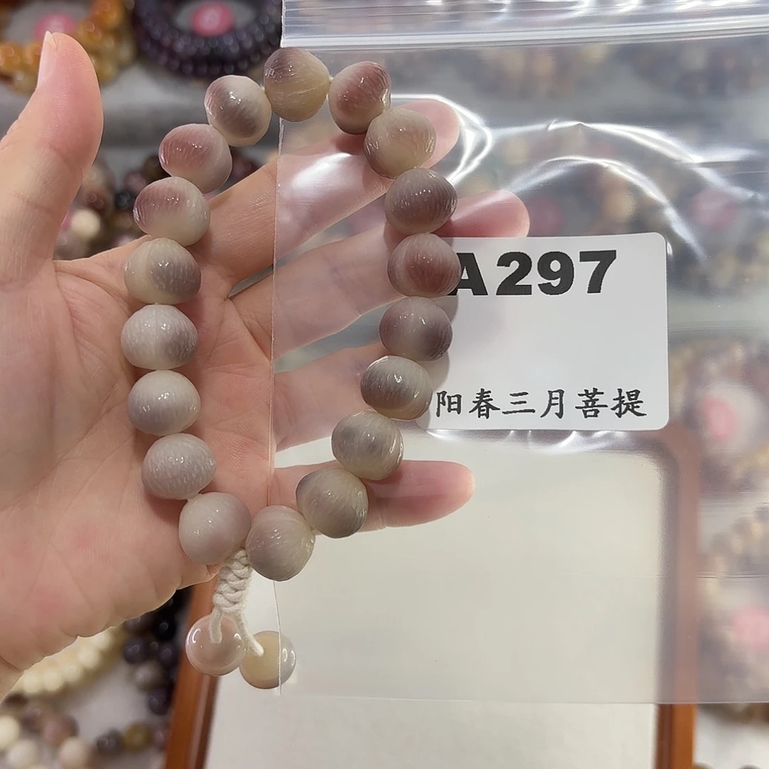 H***蓓吊坠菩提根/象牙果