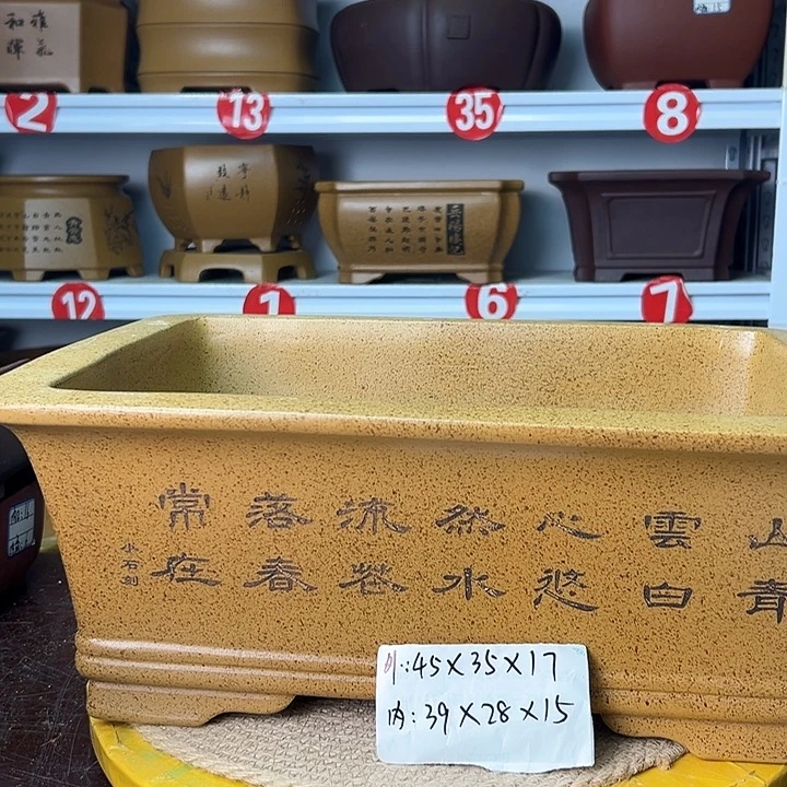 花盆紫砂你在一起