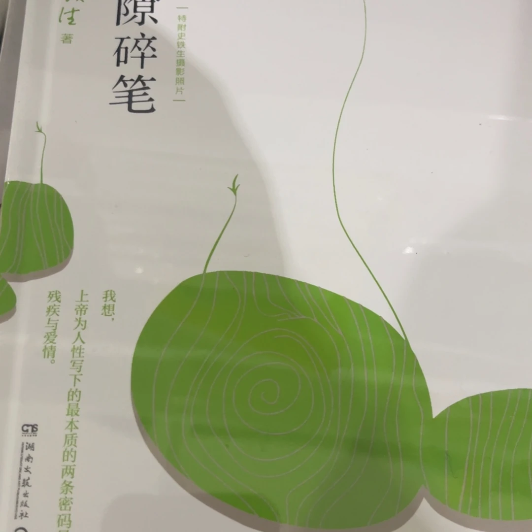 病隙碎笔精装一个