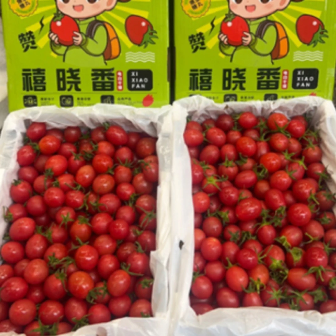 （整件）爆汁冰糖千禧小番茄 1件约2.5斤番茄同城配