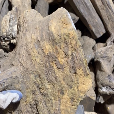 阿***0贡木把件定制12366879988