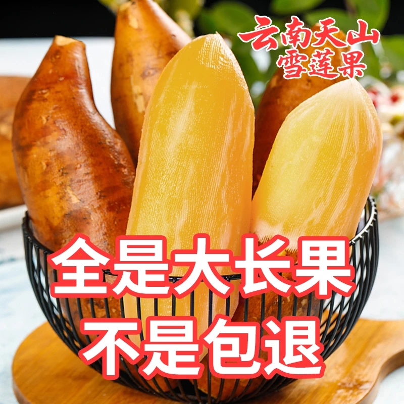 雪莲果现挖云南正宗2025天山黄心红心整箱当季新鲜批发水果包邮