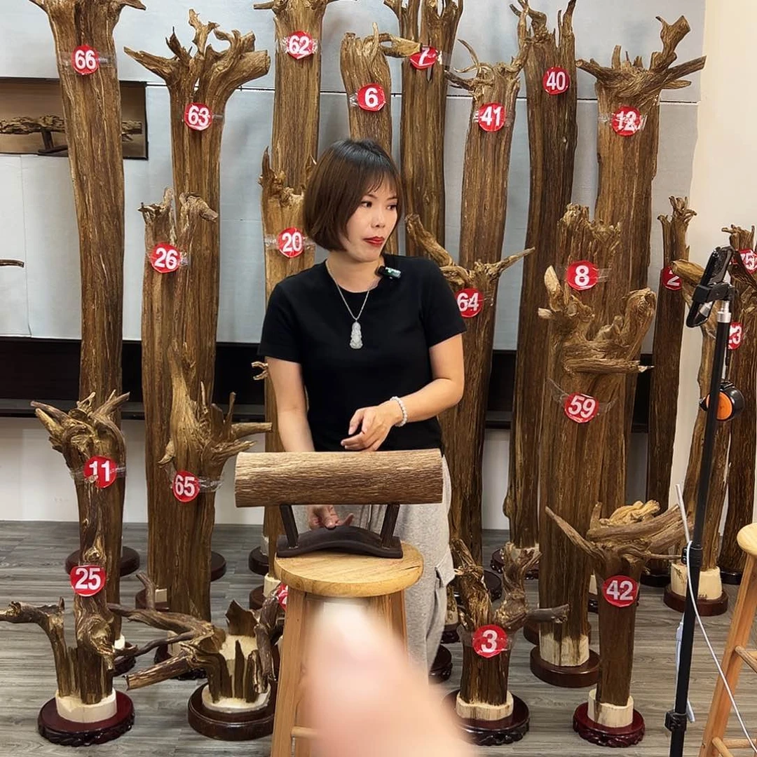 摆件沉香沉香摆件