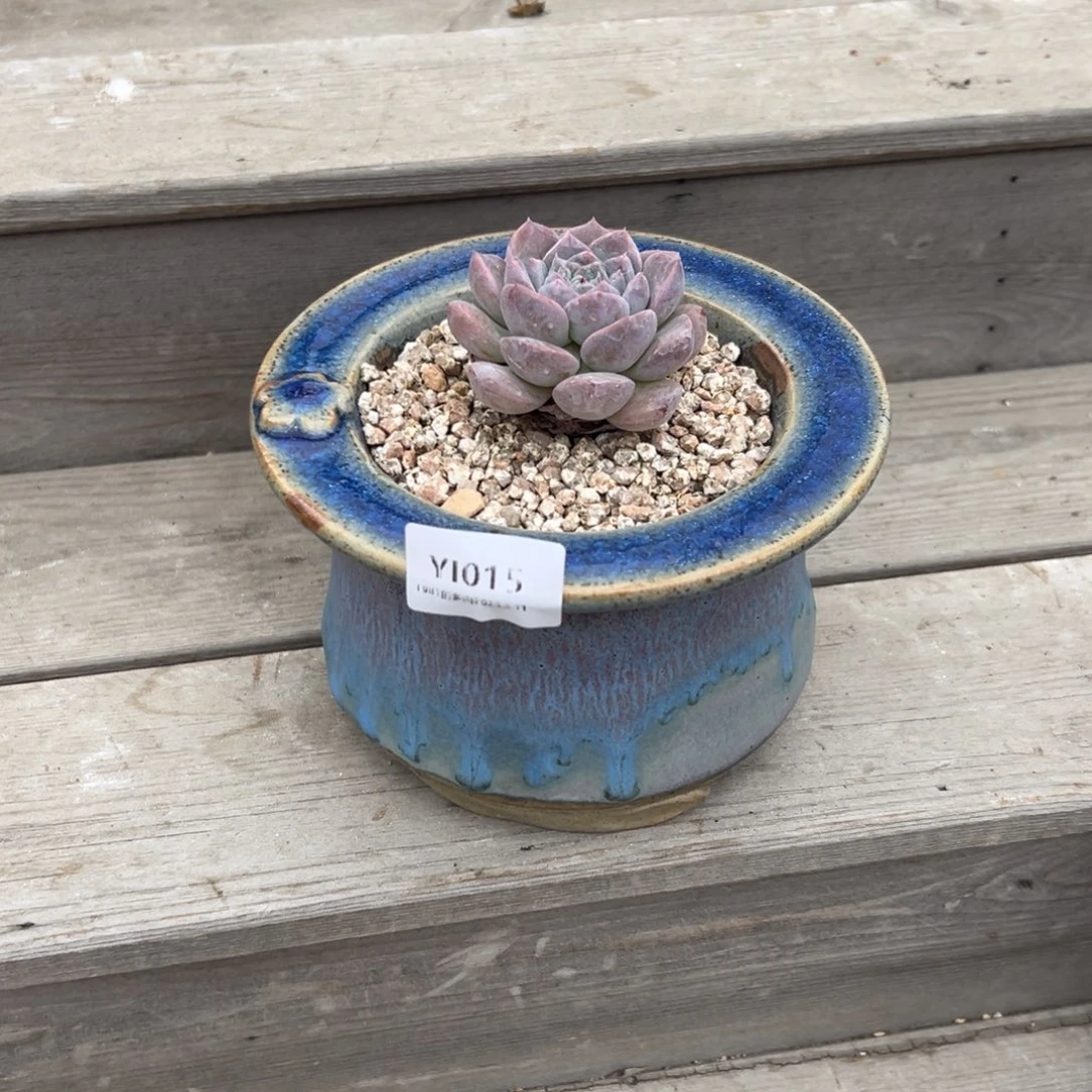 紫砂花盆神****子精品一套Yi015盆盆盆盆➕一袋球土