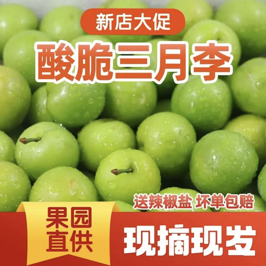 广西新鲜当季三月李酸脆青李孕妇水果包脆包酸