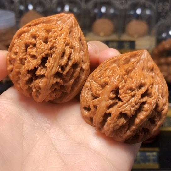 福利：原桩九龙筋