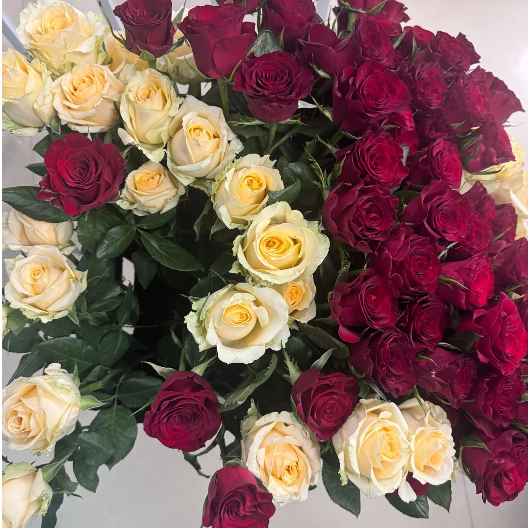 今天你买玫瑰花了吗  鲜花治愈生活