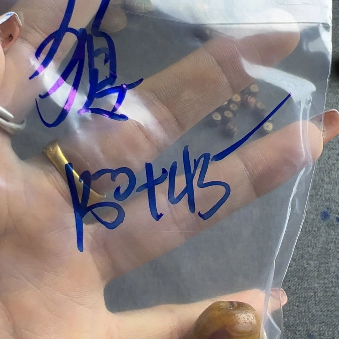 ****成功哥哥官方尺寸方方非常