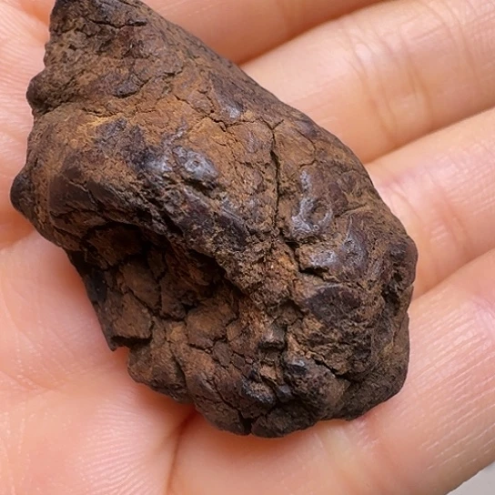 陆***强静水静水越南沉水6克！！！！