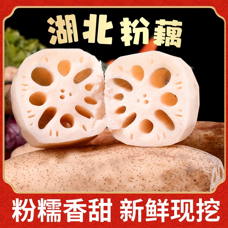 湖北洪湖粉藕新鲜采挖
