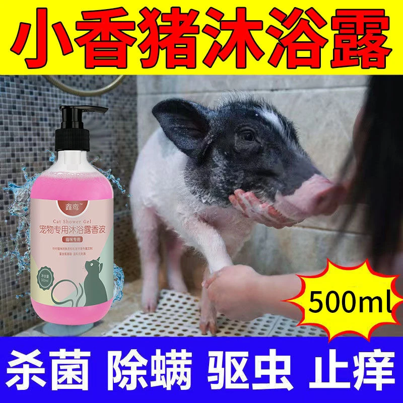 小香猪沐浴露宠物猪洗澡用品清洁沐浴露小香猪去味除臭香波浴液