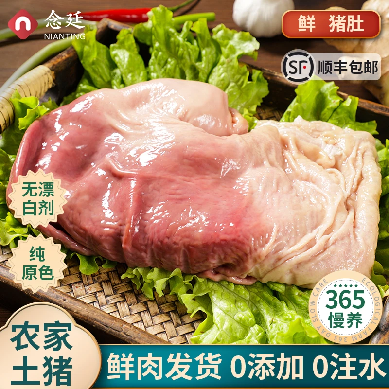 念廷新鲜猪肚肉无抗生素猪肚农家现杀整只内脏猪胃顺丰包邮