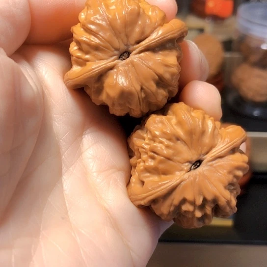 红****?野生小众：平谷霸王