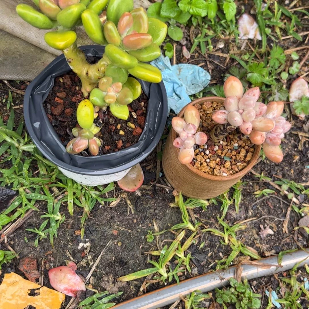 了***李111111111111111111