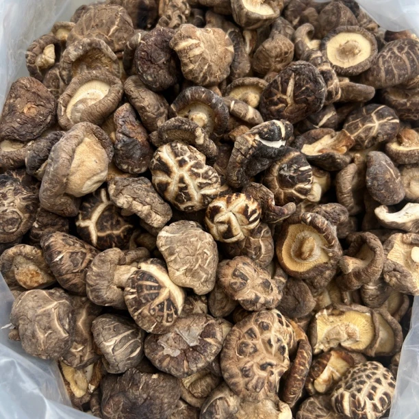 贵州农家椴木小花菇