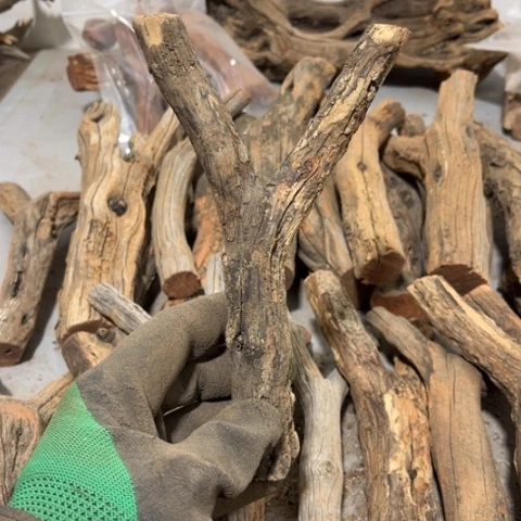 大果紫檀（缅甸花梨）卡****?