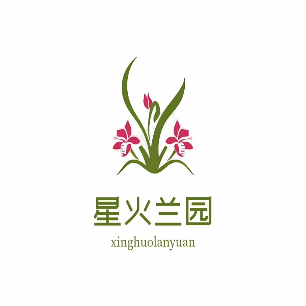 兰花临时购买2号链接