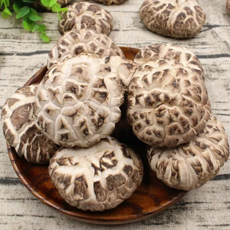 知补堂 椴木大花菇 干货