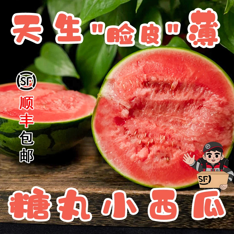 正宗2k小糖丸新鲜现摘水果当季手撕薄皮小西瓜【顺丰】