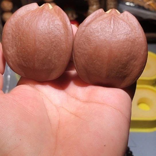 橄榄核把件异型三角橄榄45