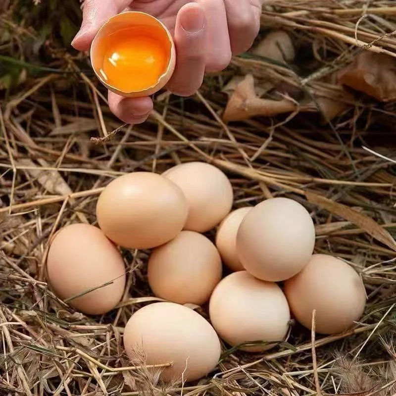 【买30枚送20枚到手50枚土鸡蛋现捡现发】正宗农家散养土鸡蛋初生蛋粉壳【顺丰包邮】