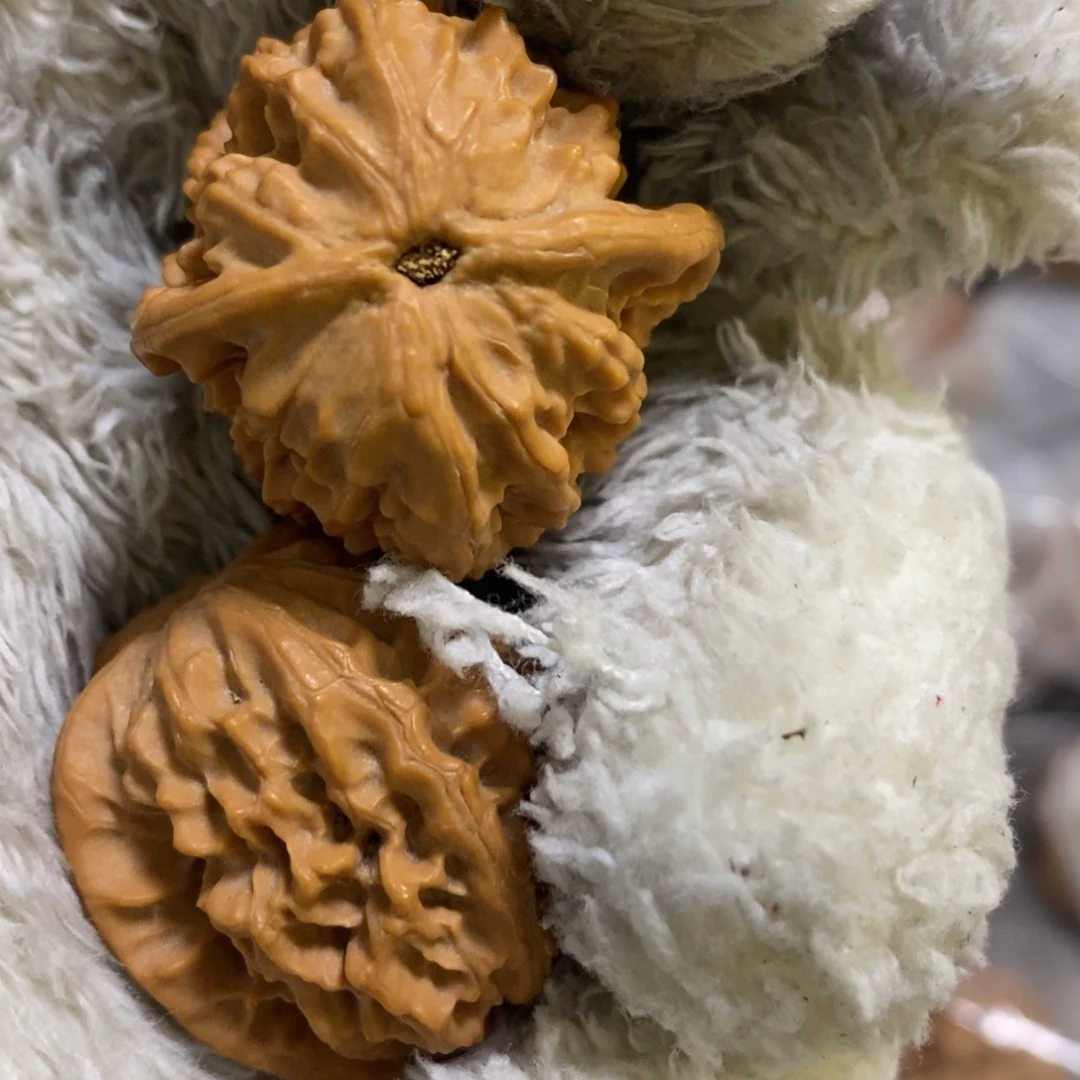 我们是真的没有缘分哦啊