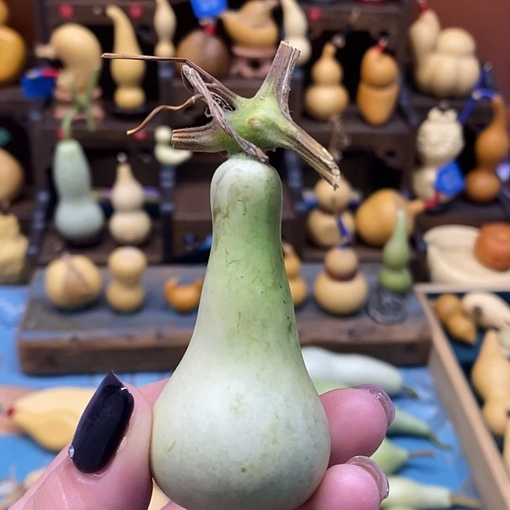 本长青皮包成厚皮