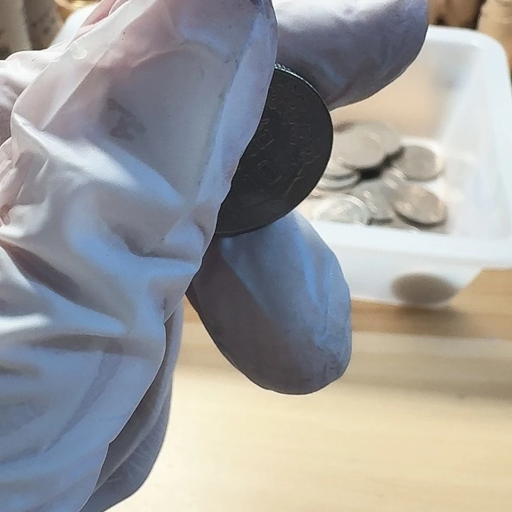 其他普通金属梅花10的币