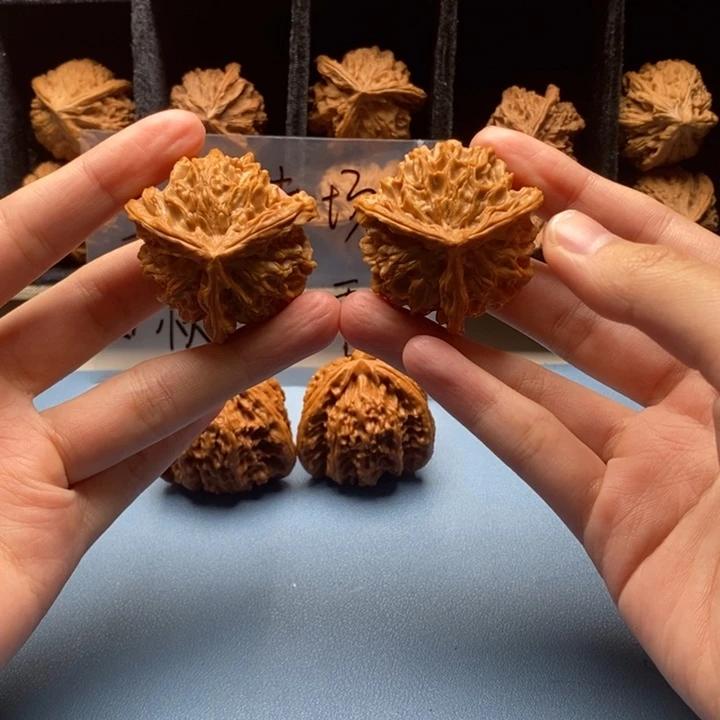 ʚ***ɞ手串/手链核桃盘山哈哈哈哈