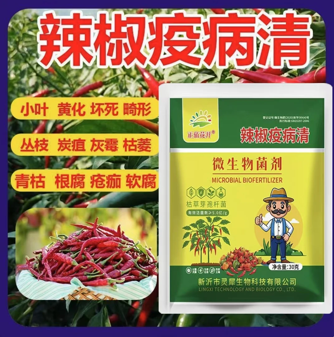 辣椒疫病清复合微生物菌剂卷叶杀菌炭疽黄叶枯萎根腐灰霉软腐毒菌