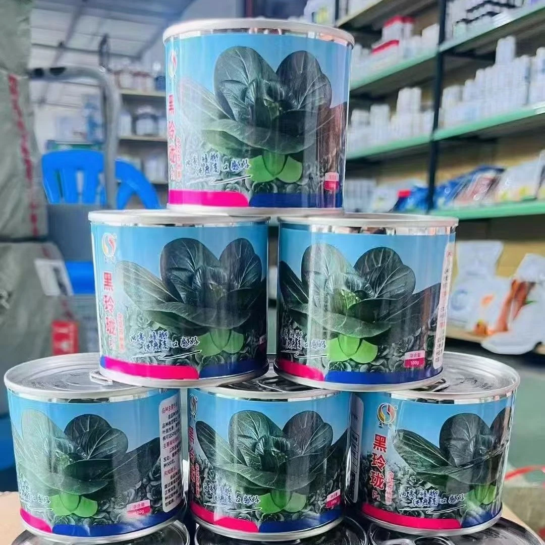 黑玲珑  精品苏州青