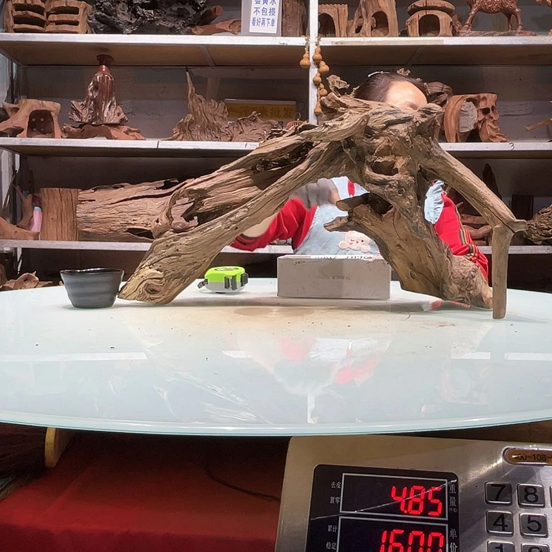 紫砂紫柚沉木牛*王紫柚沉木2595