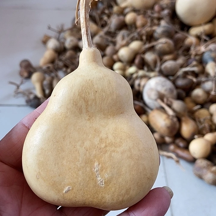 y h j ii j z z j n x b x s j