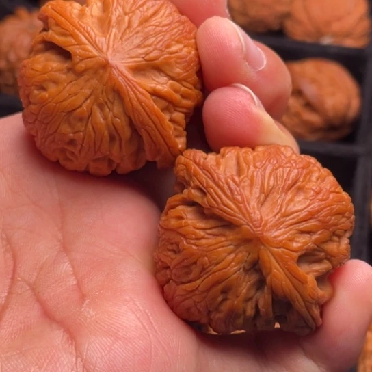 文玩核桃把件秦岭山脉核桃