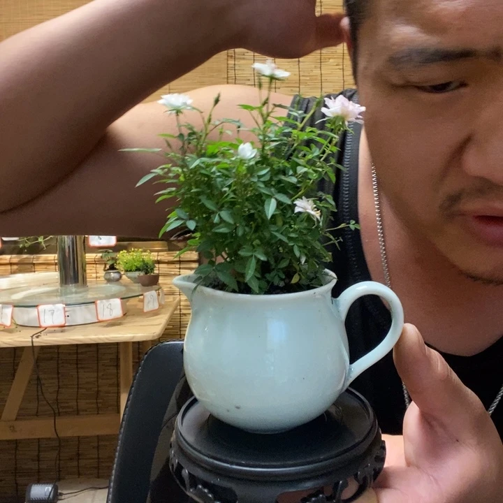 一物一拍所见即所得117