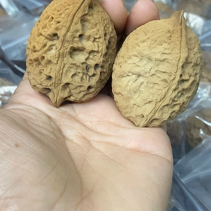 文玩核桃把件云南铁核桃基地30