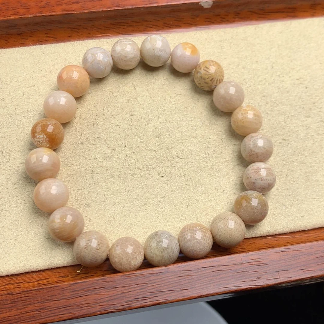 【闪购商品】硅化珊瑚（珊瑚玉）手镯未镶嵌