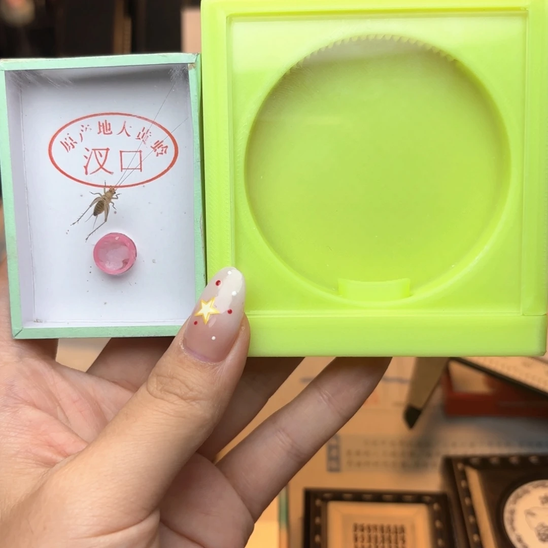 外方内圆80米赠送一条大黄蛉