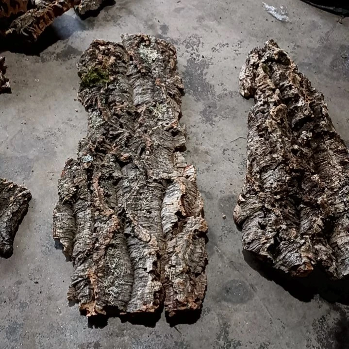 木一物一拍一物一发